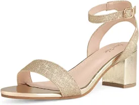 DREAM PAIRS Women's Open Toe Ankle Strap Low Block Chunky Heels Sandals Party Dress Pumps Shoes